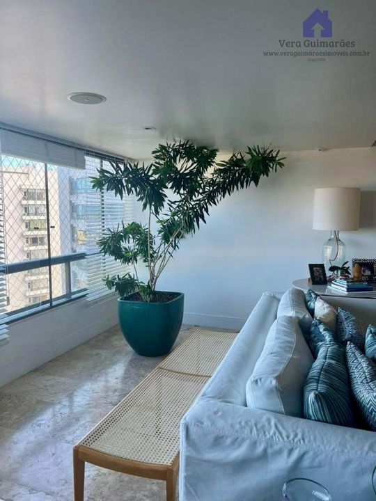 Apartamento - Horto florestal