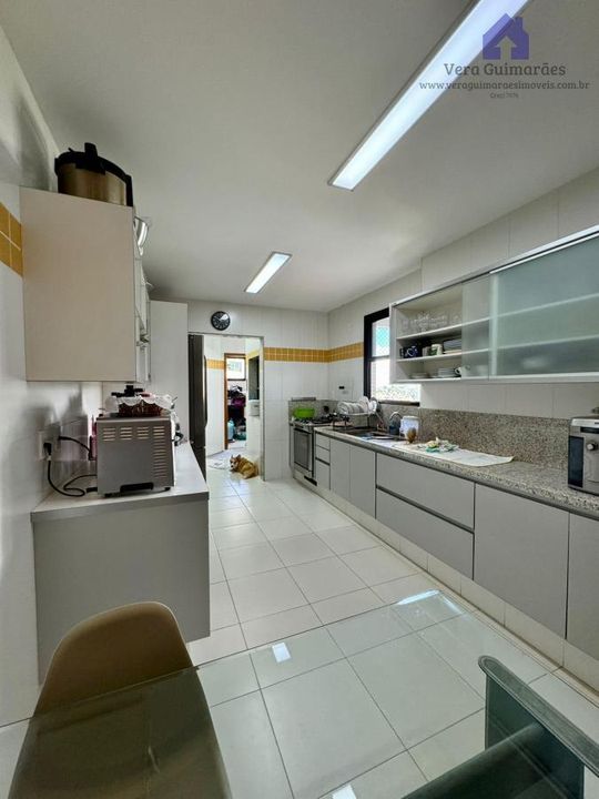 Apartamento - Horto florestal