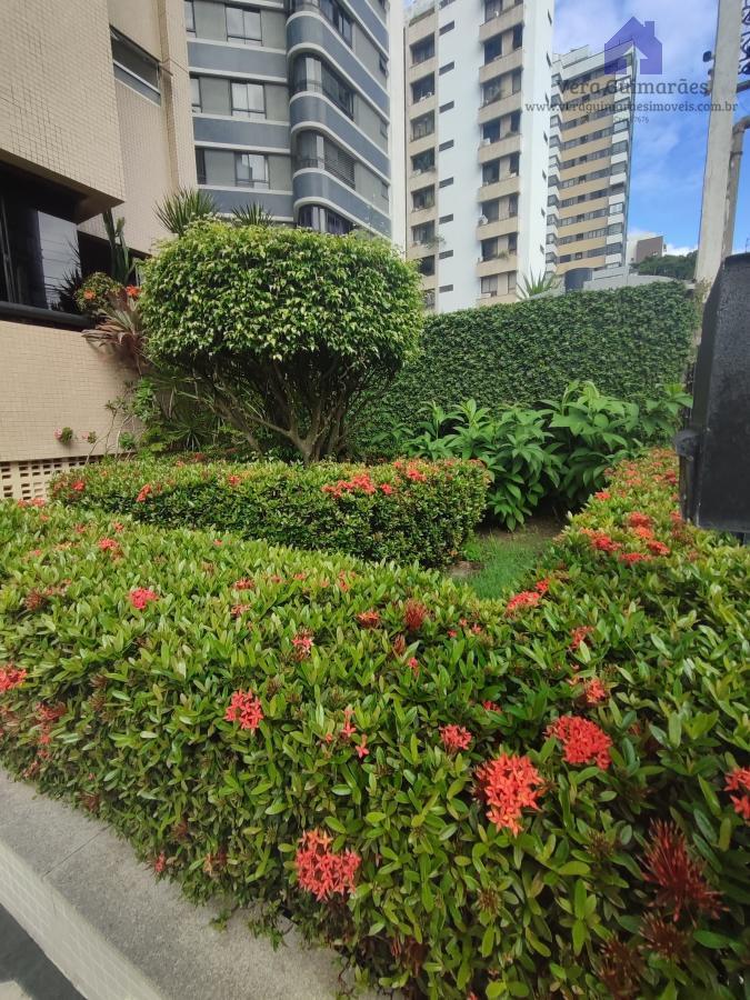 Apartamento - Caminho das árvores